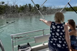 Dolphin tour FAQs dolphin guarantee