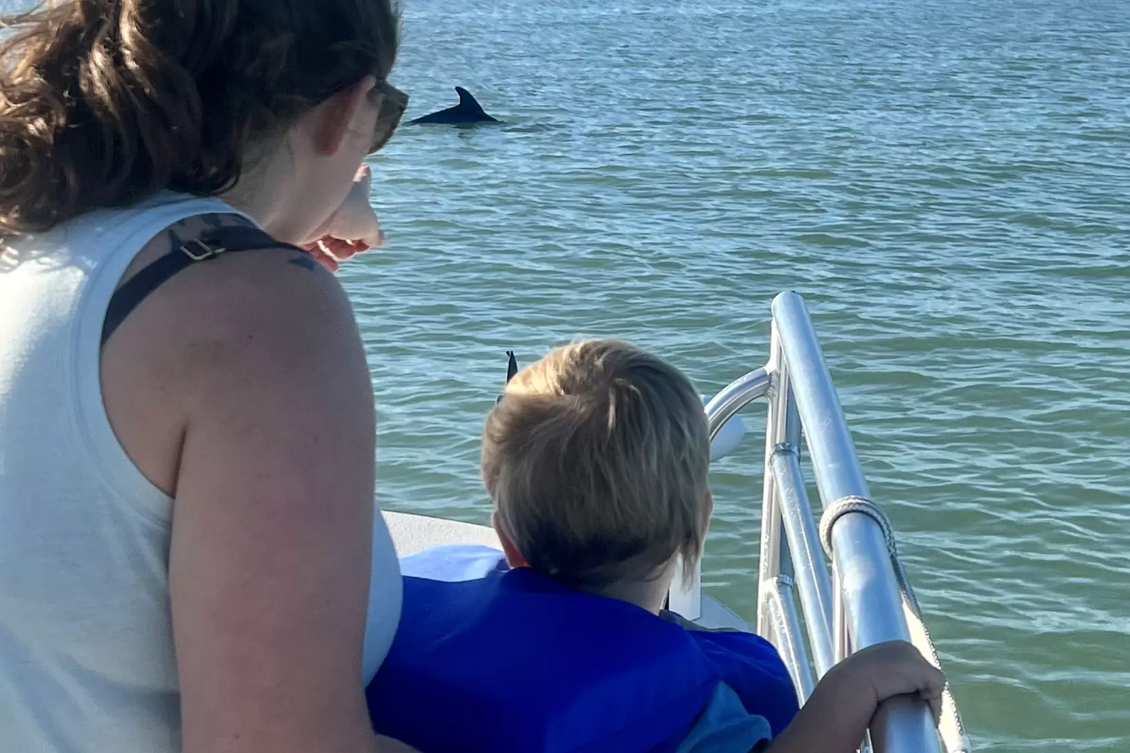 Dolphin Tour FAQs for Families