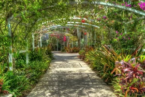 Naples Botanical Garden