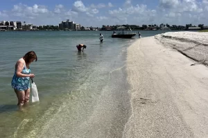 Shell Tour Marco Island to Shell Island