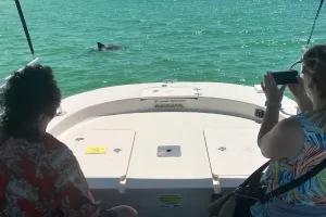 Marco boat tour weather in April is perfect for seeing dolphins