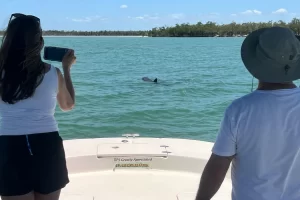 Marco boat tour weather in May