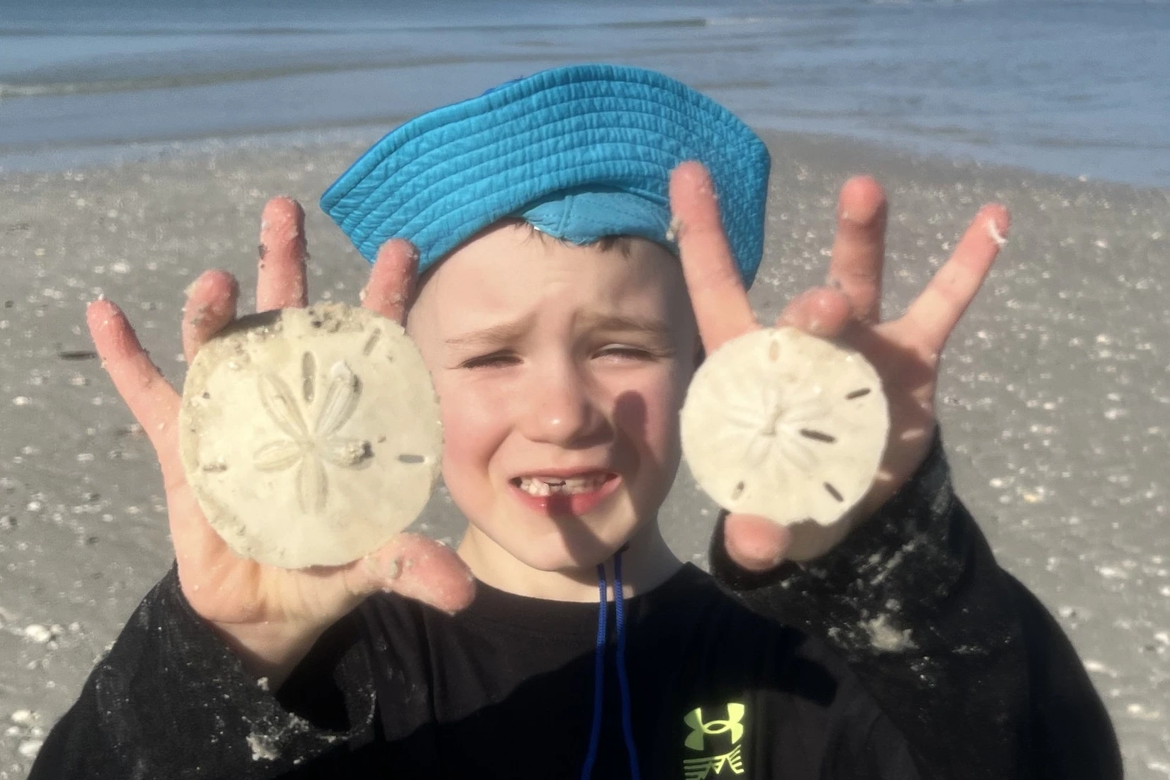 Best Florida Shelling Beaches