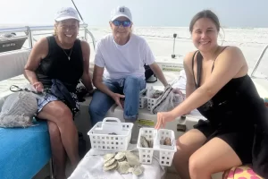 Find sand dollars at caxambas pass