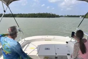 Dolphins on a 10000 Islands Eco Tour out of Goodland FL