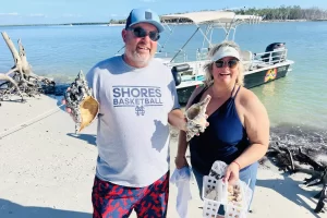 Finding the biggest shell - the Florida Horse Conch