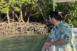 Look for wildlife along the edges of the mangrove islands
