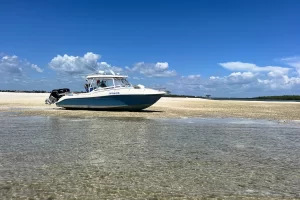 Marco Island shelling tides - negative low tides