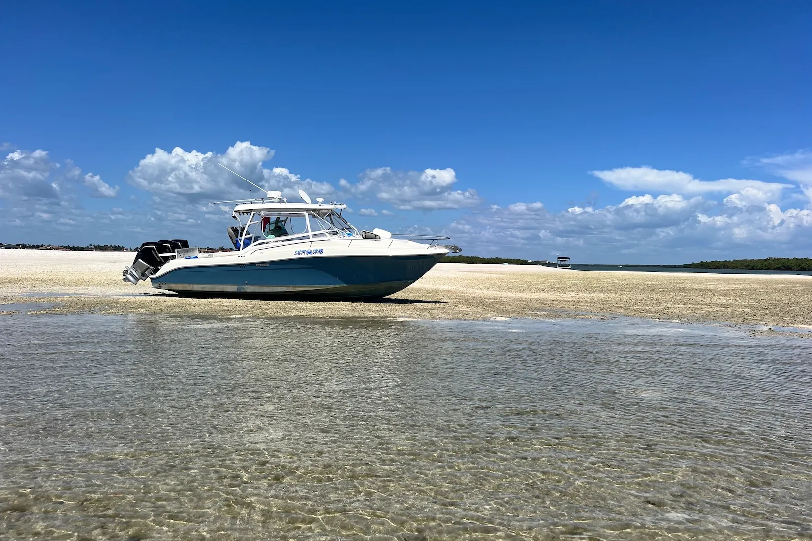 Tides 101 for Shelling: A Simple Family Guide