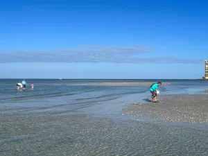 Shelling during low tide