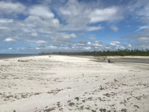 Marco Island shelling tides and tips for families
