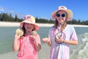 Sand dollar shelling in Florida's 10000 islands