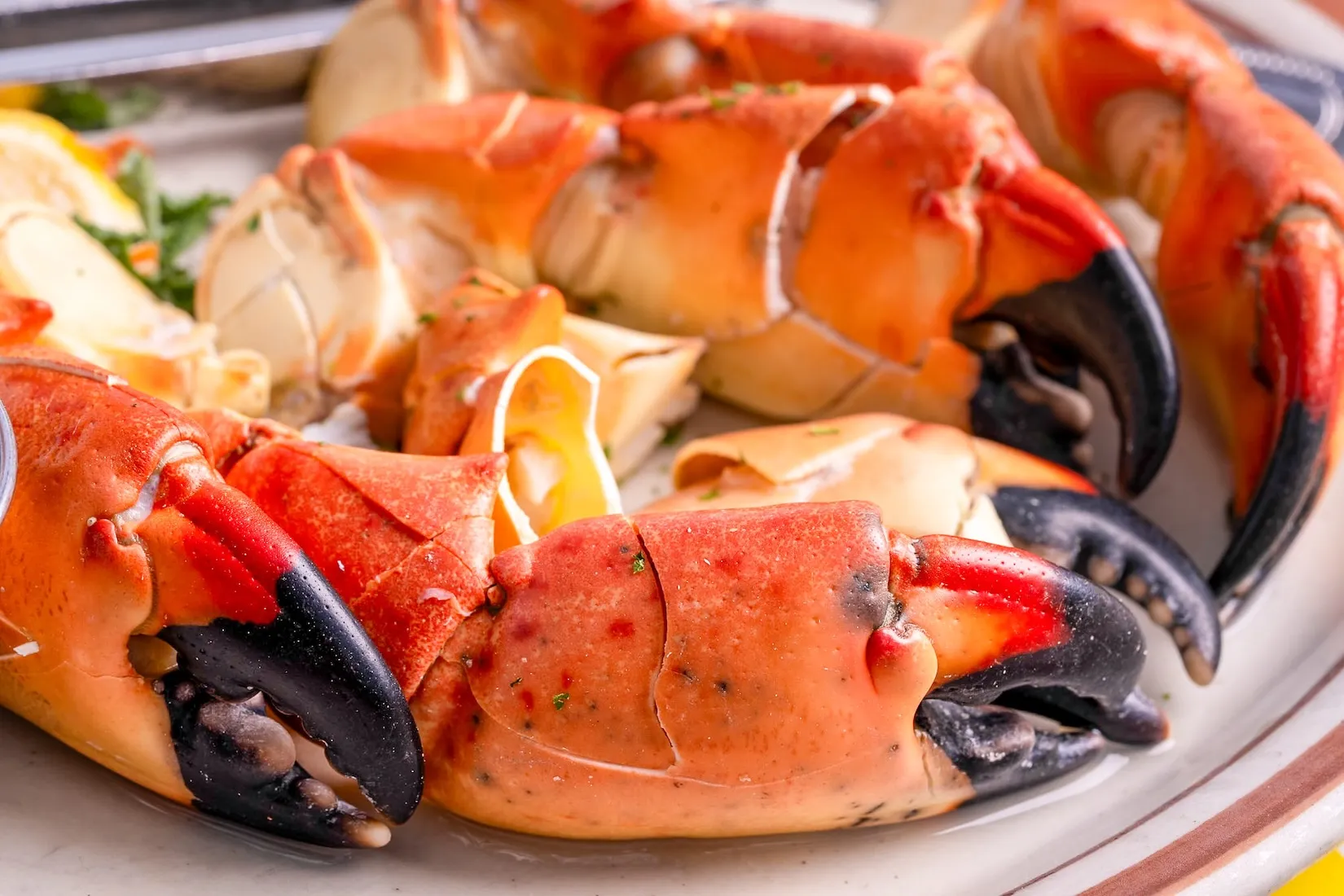 Get your stone crab fix at Little Bar Goodland