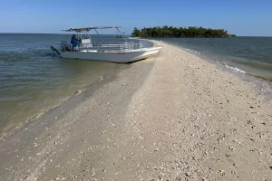 Shelling on a Marco Island beach with Florida Island Tours