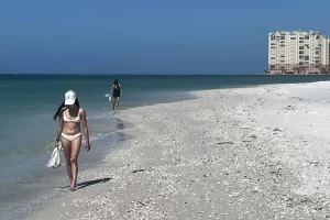 scouring the beach for shells