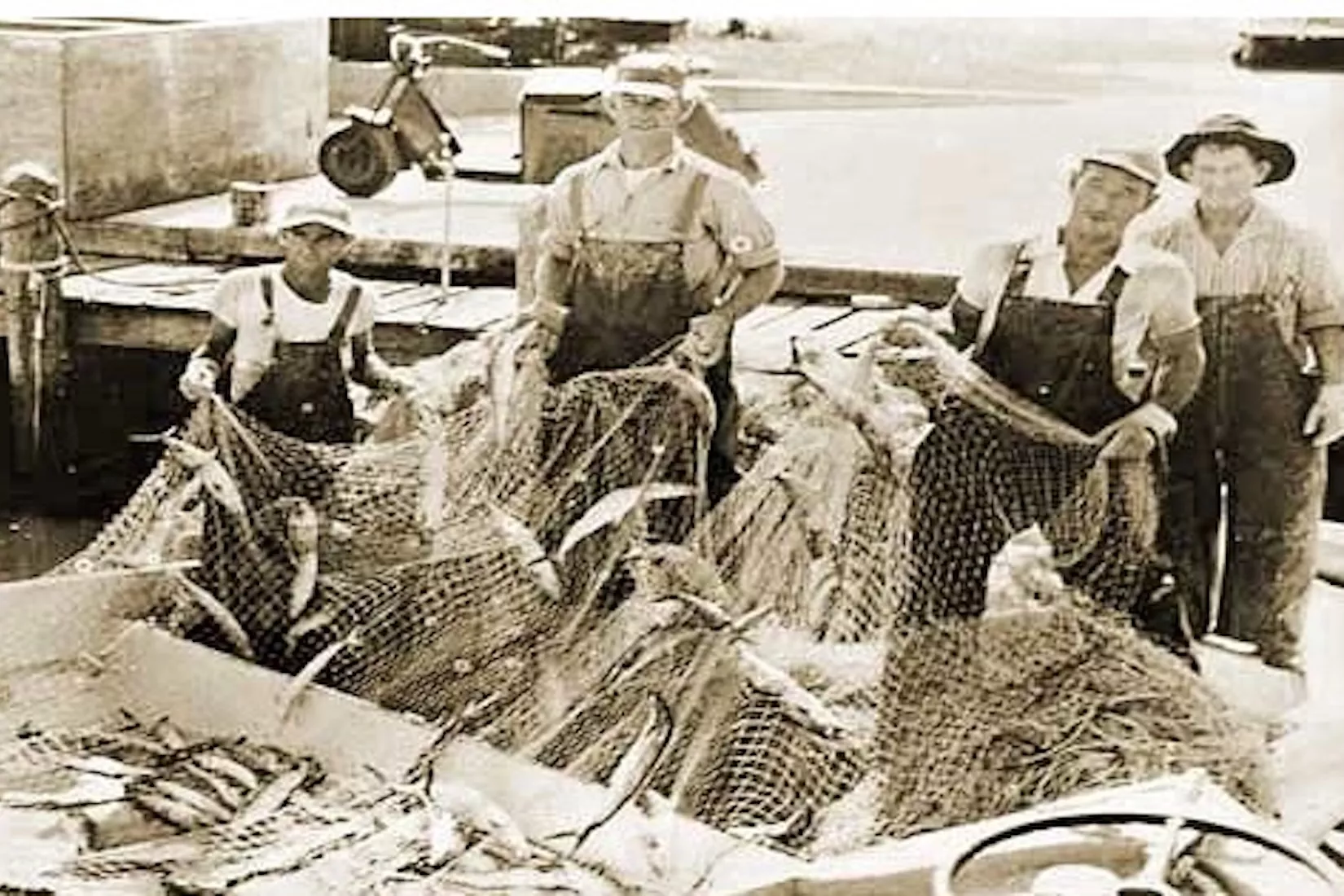 History of Florida Stone Crabs