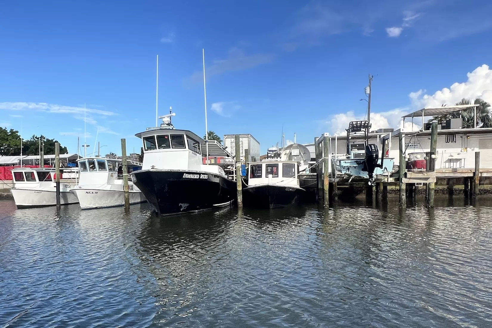 Kirk's Seafood Company in Goodland