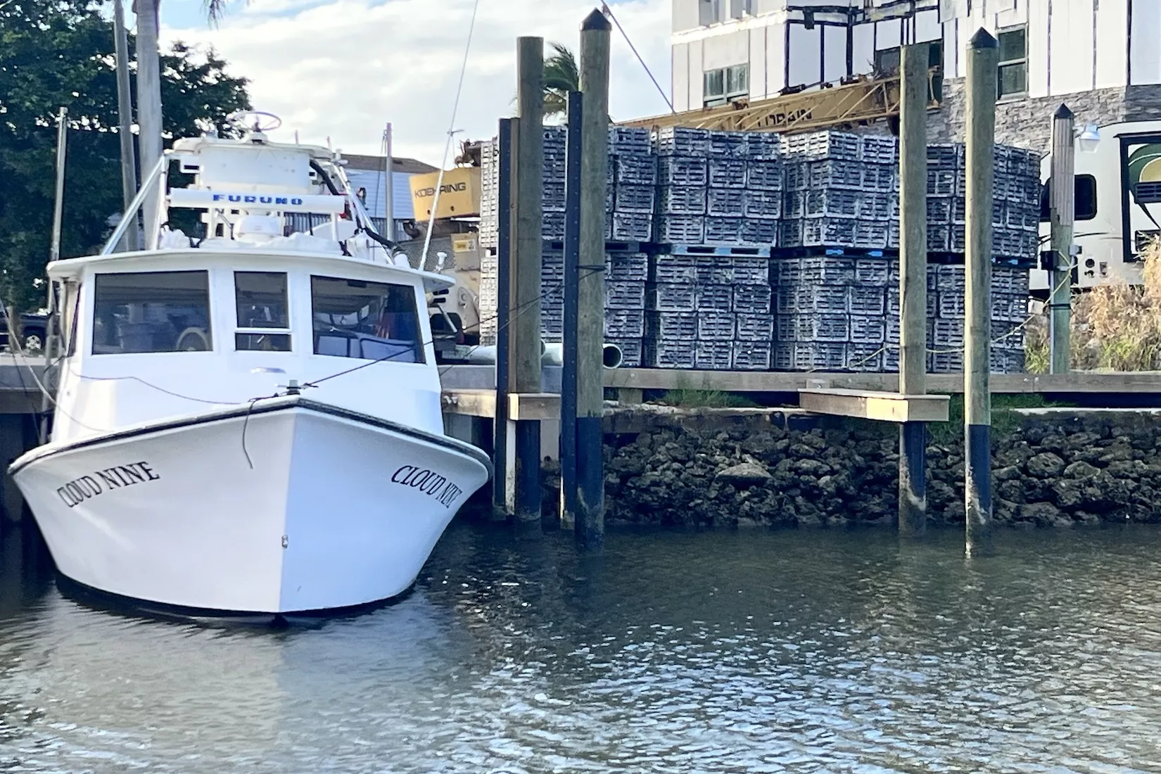 Stone Crabs: Harvest, History, and How to Eat in Naples and Marco Island