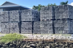 stone crab traps on a Goodland dock
