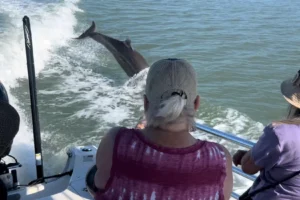 Marco dolphin and birding tours