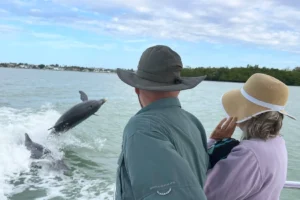 marco island solphin boat tours