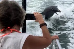 Marco Island family eco boat tours