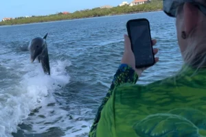 Marco Island famnily boat adventures