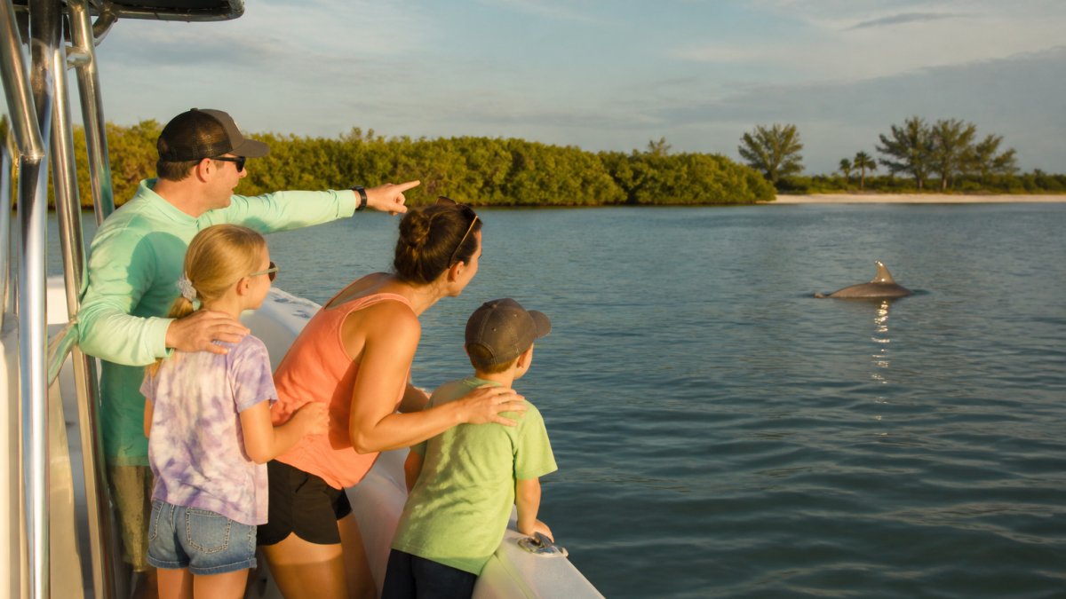 A family on the deck of a small charter boat pointing toward a dolphin surfacing in calm Gulf water, mangroves and a barrier island in the background, warm late-afternoon light