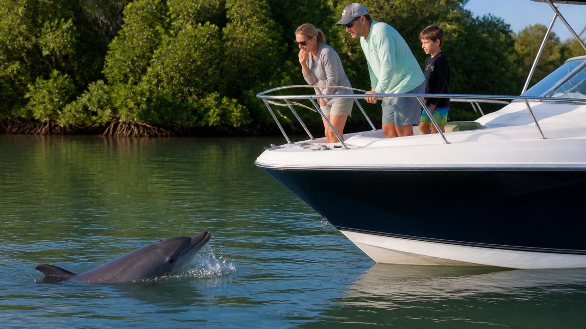 Bottlenose dolphin surfacing near guests on custom boat charters in the calm waters of Marco Island