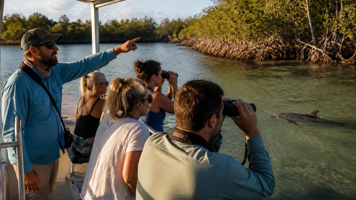 Captain pointing out dolphins to guests on eco friendly boat tours in Florida through shallow mangroves