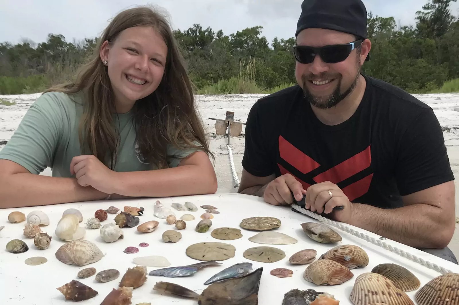 Sand Dollar Shelling Best Places To Find Sand Dollars In Florida
